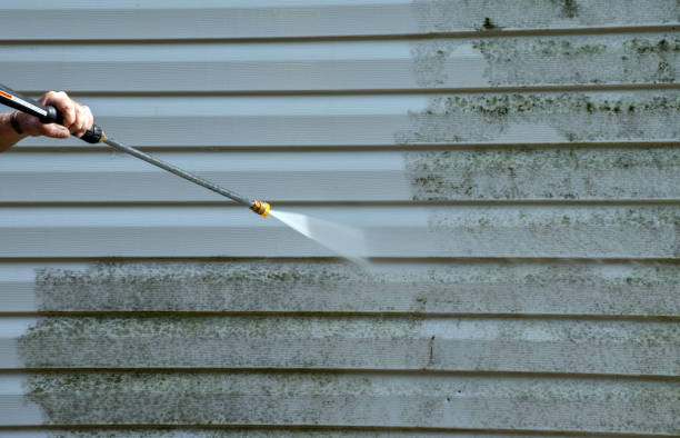Mold Testing and Removal in Liberty, TX