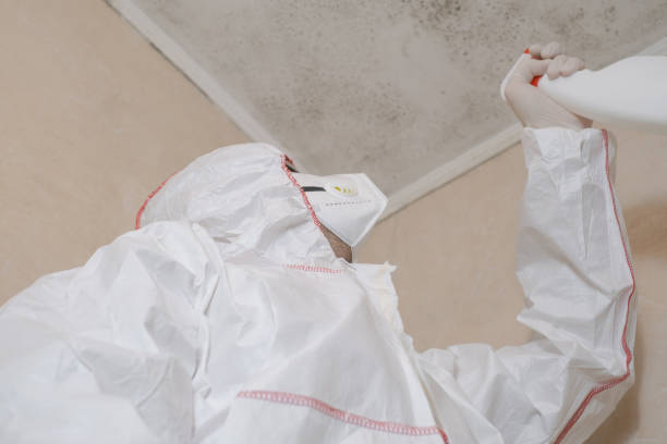Best Professional Mold Removal  in Liberty, TX