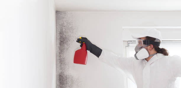Best Residential Mold Removal  in Liberty, TX