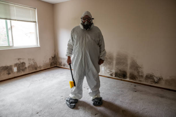 Best Mold Damage Repair  in Liberty, TX
