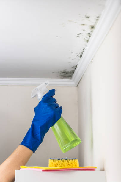 Best Mold Testing  in Liberty, TX